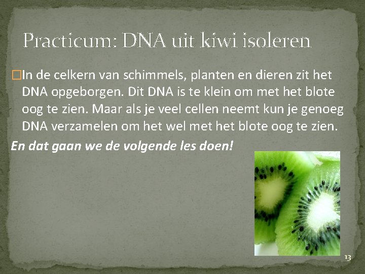 Practicum: DNA uit kiwi isoleren �In de celkern van schimmels, planten en dieren zit