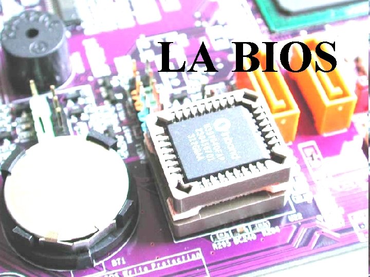 LA BIOS 