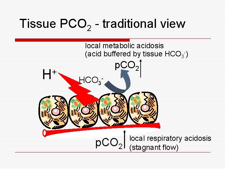 Tissue PCO 2 - traditional view local metabolic acidosis (acid buffered by tissue HCO Tissue PCO 2 - traditional view local metabolic acidosis (acid buffered by tissue HCO