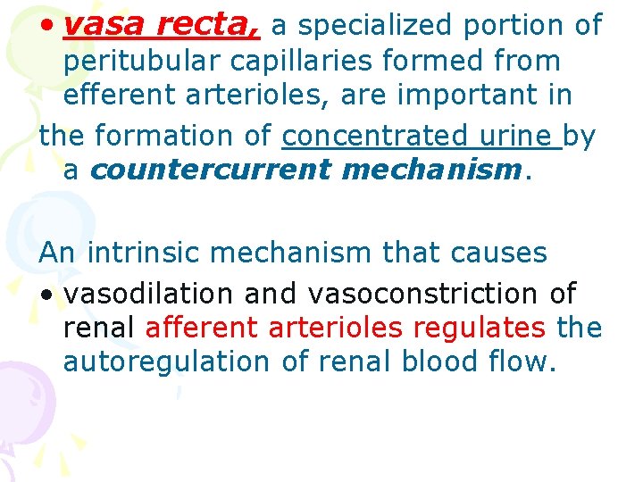  • vasa recta, a specialized portion of peritubular capillaries formed from efferent arterioles,