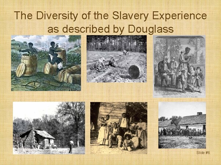 The Diversity of the Slavery Experience as described by Douglass Slide #6 