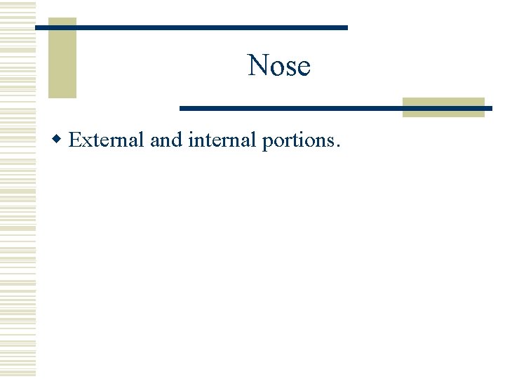 Nose w External and internal portions. 