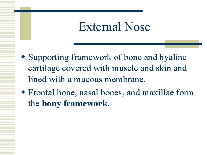 External Nose w Supporting framework of bone and hyaline cartilage covered with muscle and