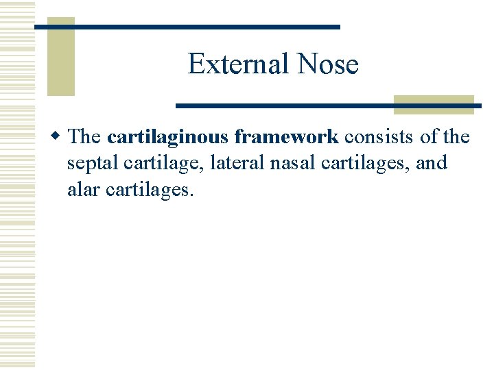 External Nose w The cartilaginous framework consists of the septal cartilage, lateral nasal cartilages,