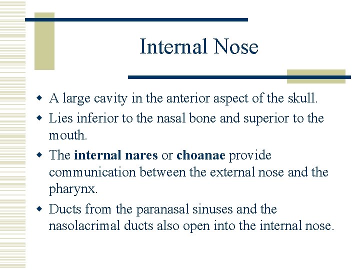 Internal Nose w A large cavity in the anterior aspect of the skull. w