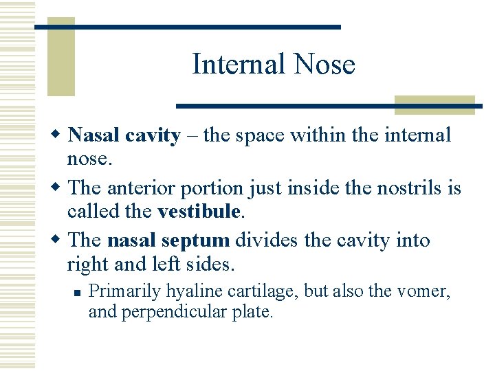 Internal Nose w Nasal cavity – the space within the internal nose. w The
