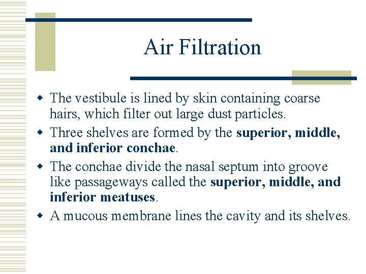 Air Filtration w The vestibule is lined by skin containing coarse hairs, which filter