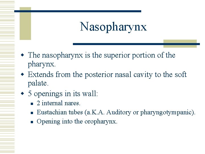 Nasopharynx w The nasopharynx is the superior portion of the pharynx. w Extends from