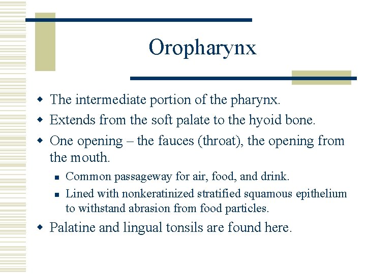 Oropharynx w The intermediate portion of the pharynx. w Extends from the soft palate
