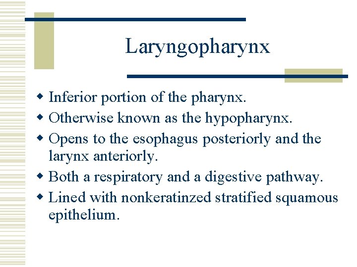 Laryngopharynx w Inferior portion of the pharynx. w Otherwise known as the hypopharynx. w