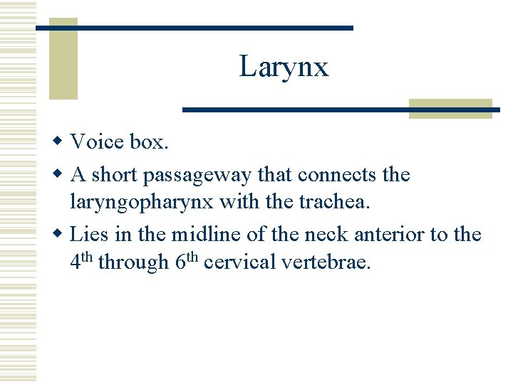 Larynx w Voice box. w A short passageway that connects the laryngopharynx with the