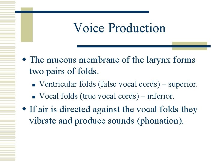 Voice Production w The mucous membrane of the larynx forms two pairs of folds.