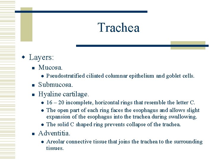 Trachea w Layers: n Mucosa. l n n Submucosa. Hyaline cartilage. l l l