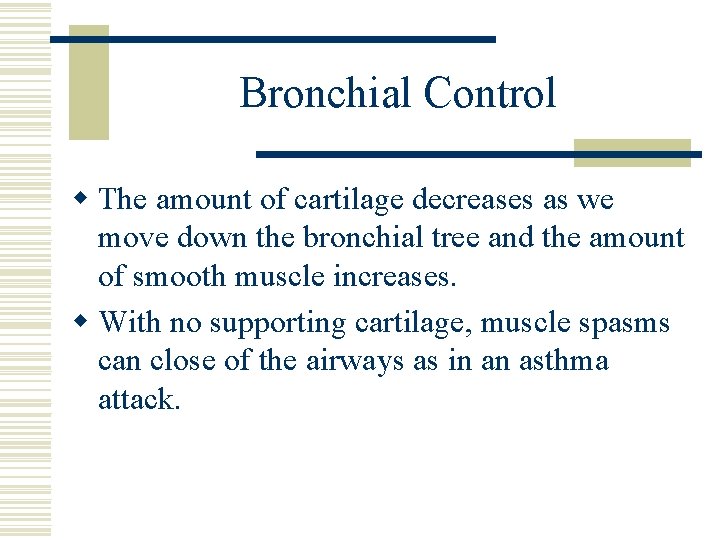 Bronchial Control w The amount of cartilage decreases as we move down the bronchial