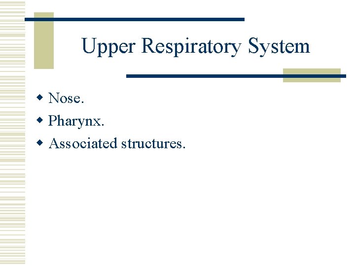 Upper Respiratory System w Nose. w Pharynx. w Associated structures. 
