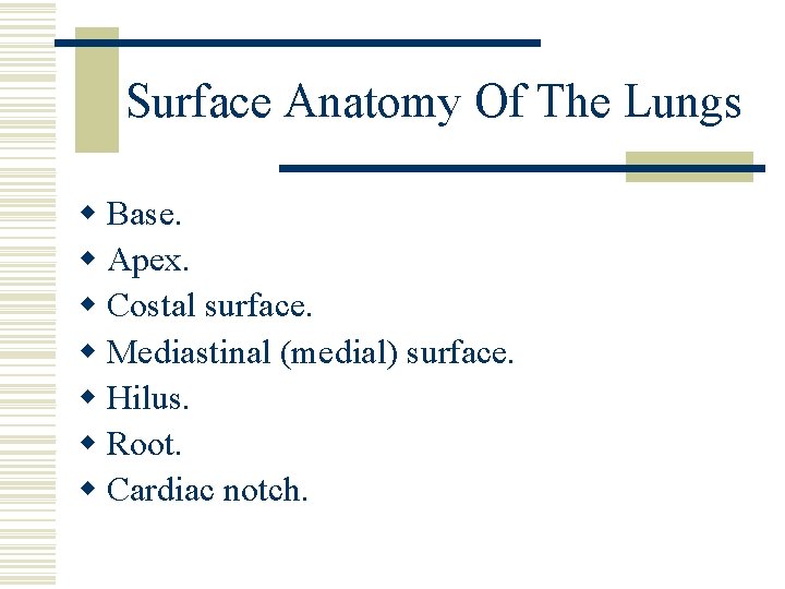 Surface Anatomy Of The Lungs w Base. w Apex. w Costal surface. w Mediastinal
