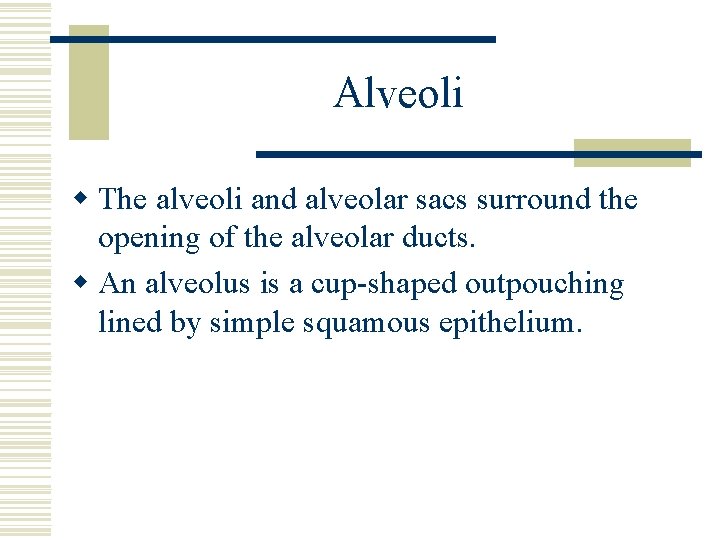 Alveoli w The alveoli and alveolar sacs surround the opening of the alveolar ducts.