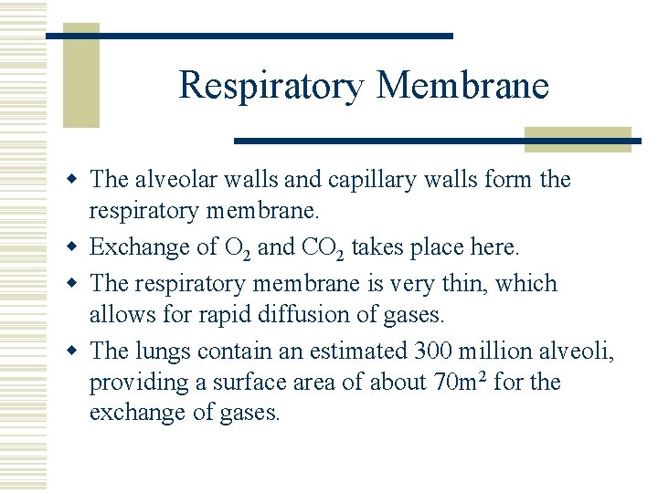 Respiratory Membrane w The alveolar walls and capillary walls form the respiratory membrane. w