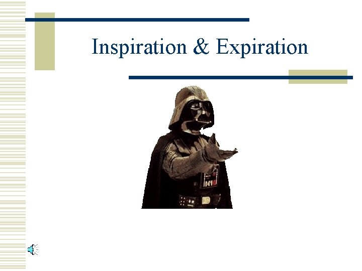 Inspiration & Expiration 