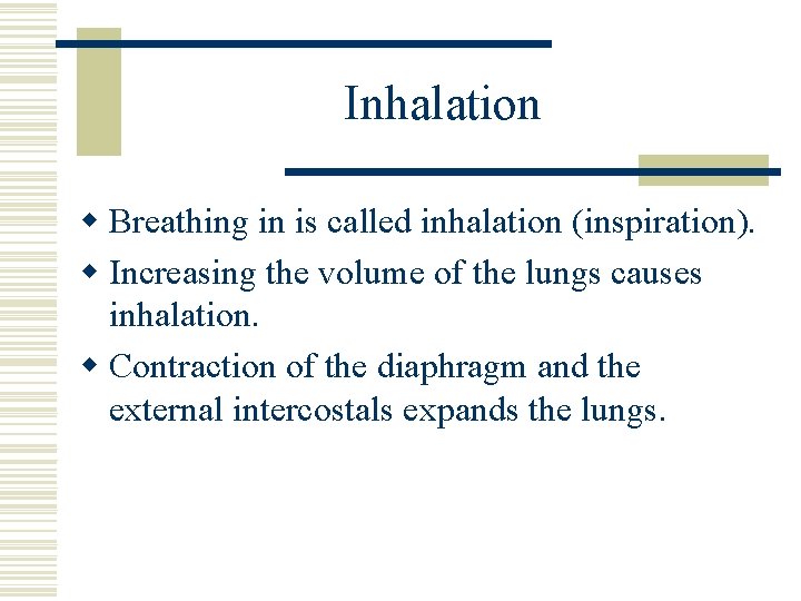 Inhalation w Breathing in is called inhalation (inspiration). w Increasing the volume of the