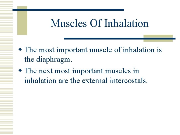 Muscles Of Inhalation w The most important muscle of inhalation is the diaphragm. w
