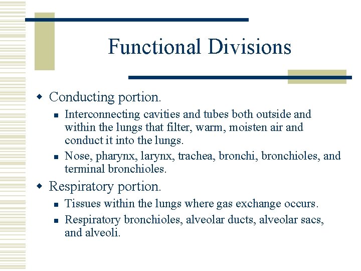 Functional Divisions w Conducting portion. n n Interconnecting cavities and tubes both outside and