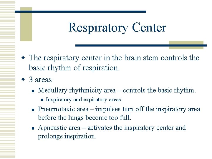 Respiratory Center w The respiratory center in the brain stem controls the basic rhythm