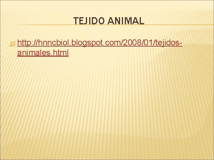 TEJIDO ANIMAL http: //hnncbiol. blogspot. com/2008/01/tejidosanimales. html 