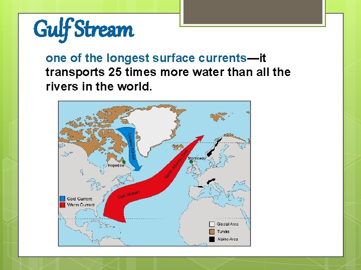 Gulf Stream one of the longest surface currents—it transports 25 times more water than Gulf Stream one of the longest surface currents—it transports 25 times more water than