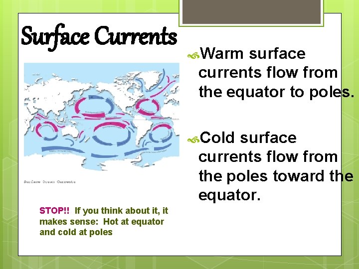 Surface Currents Warm surface currents flow from the equator to poles. Cold surface currents Surface Currents Warm surface currents flow from the equator to poles. Cold surface currents