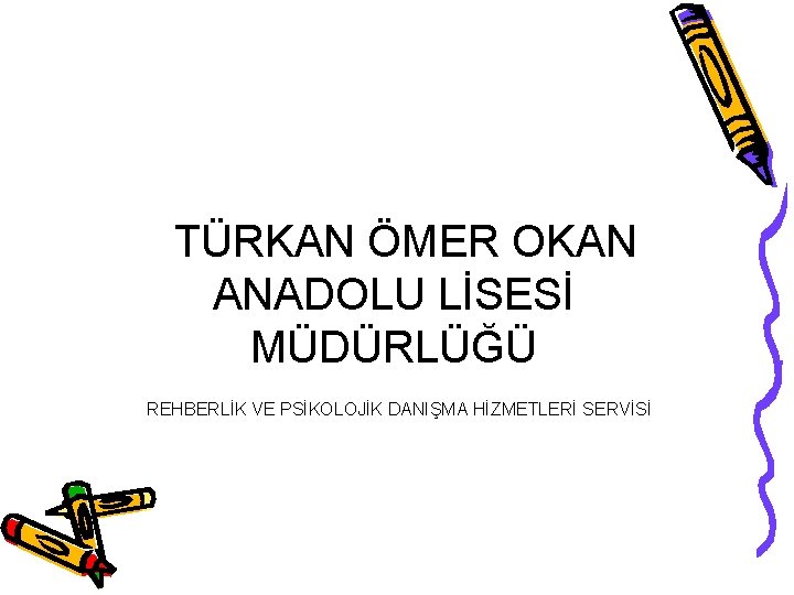  TÜRKAN ÖMER OKAN ANADOLU LİSESİ MÜDÜRLÜĞÜ REHBERLİK VE PSİKOLOJİK DANIŞMA HİZMETLERİ SERVİSİ 