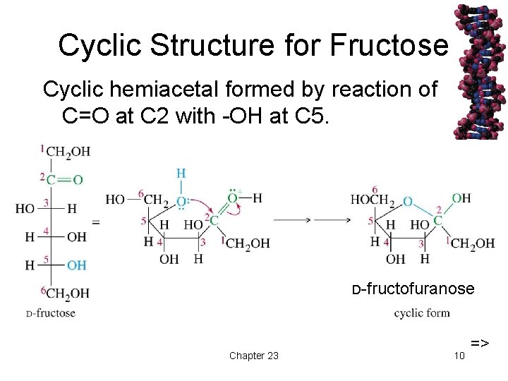 Cyclic Structure for Fructose Cyclic hemiacetal formed by reaction of C=O at C 2