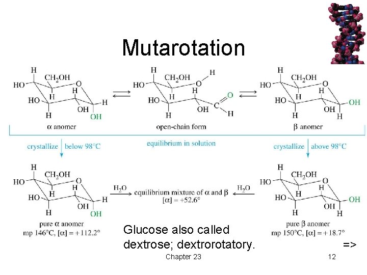 Mutarotation Glucose also called dextrose; dextrorotatory. Chapter 23 => 12 