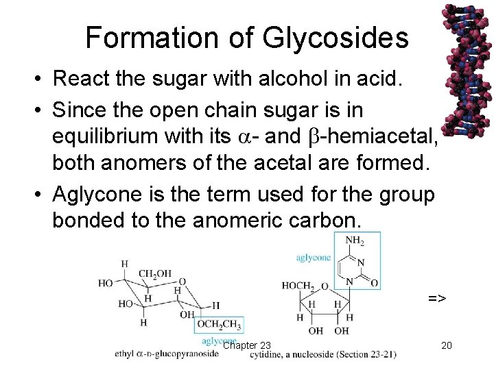 Formation of Glycosides • React the sugar with alcohol in acid. • Since the