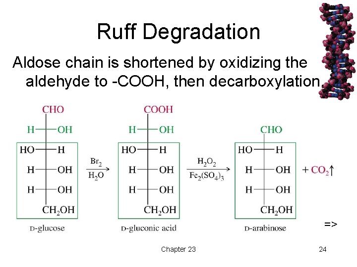 Ruff Degradation Aldose chain is shortened by oxidizing the aldehyde to -COOH, then decarboxylation.