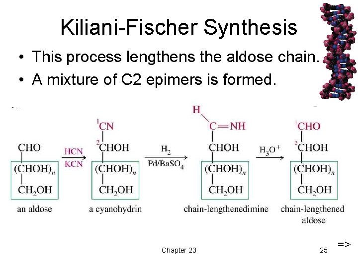 Kiliani-Fischer Synthesis • This process lengthens the aldose chain. • A mixture of C