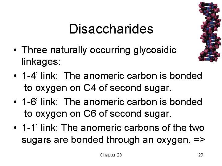 Disaccharides • Three naturally occurring glycosidic linkages: • 1 -4’ link: The anomeric carbon