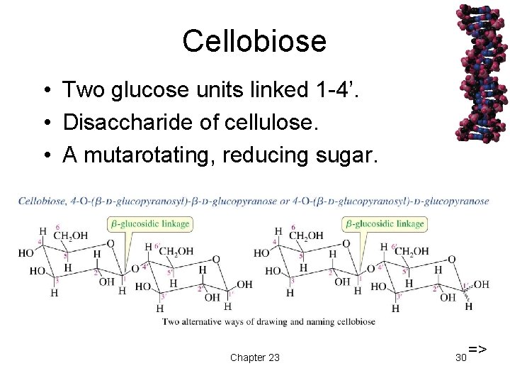 Cellobiose • Two glucose units linked 1 -4’. • Disaccharide of cellulose. • A
