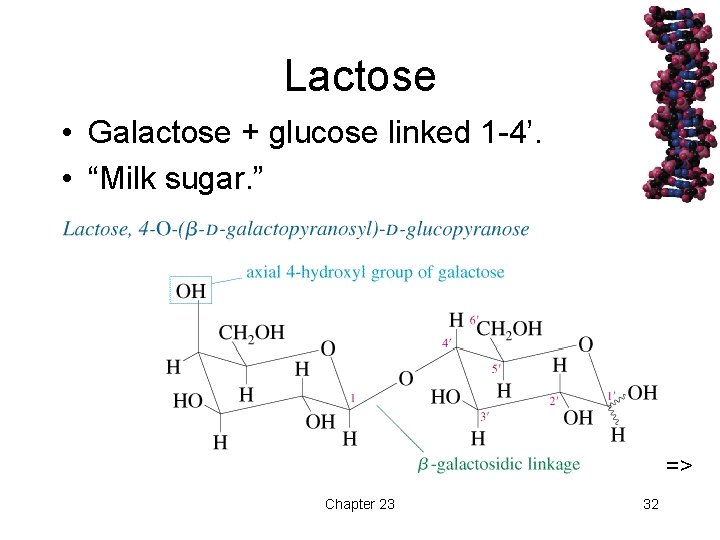 Lactose • Galactose + glucose linked 1 -4’. • “Milk sugar. ” => Chapter
