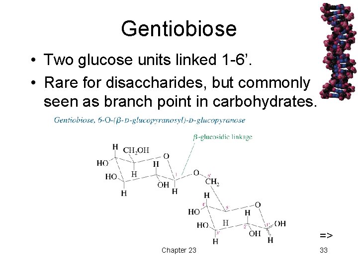 Gentiobiose • Two glucose units linked 1 -6’. • Rare for disaccharides, but commonly