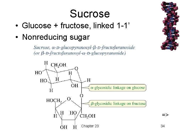 Sucrose • Glucose + fructose, linked 1 -1’ • Nonreducing sugar => Chapter 23