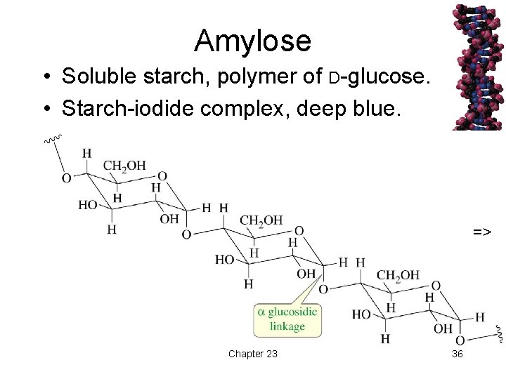 Amylose • Soluble starch, polymer of D-glucose. • Starch-iodide complex, deep blue. => Chapter