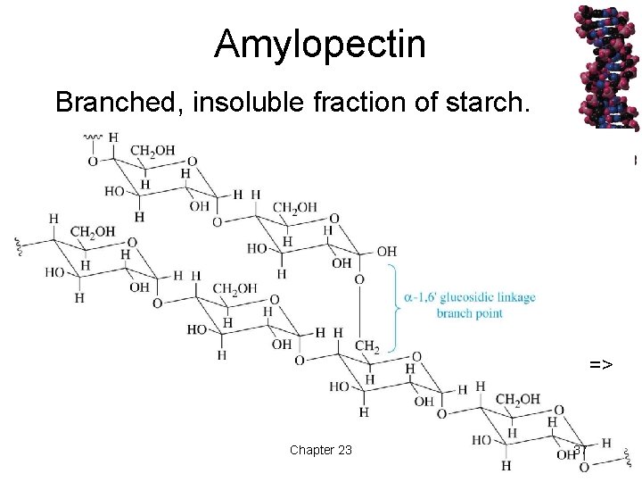 Amylopectin Branched, insoluble fraction of starch. => Chapter 23 37 