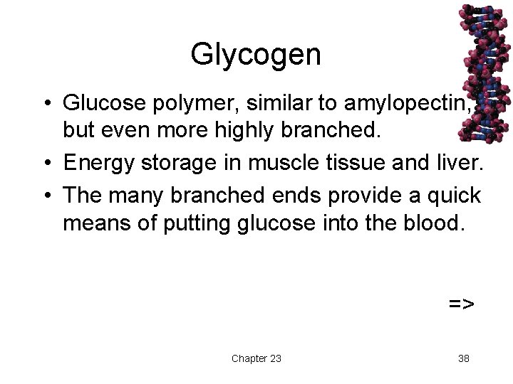 Glycogen • Glucose polymer, similar to amylopectin, but even more highly branched. • Energy