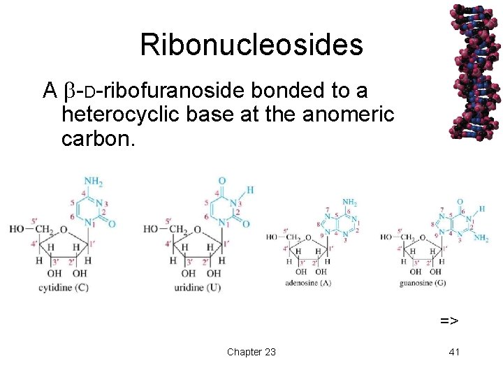 Ribonucleosides A -D-ribofuranoside bonded to a heterocyclic base at the anomeric carbon. => Chapter