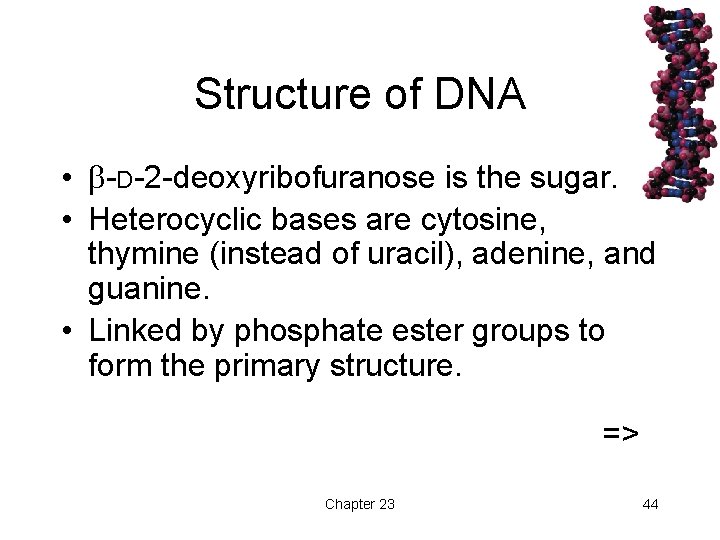 Structure of DNA • -D-2 -deoxyribofuranose is the sugar. • Heterocyclic bases are cytosine,