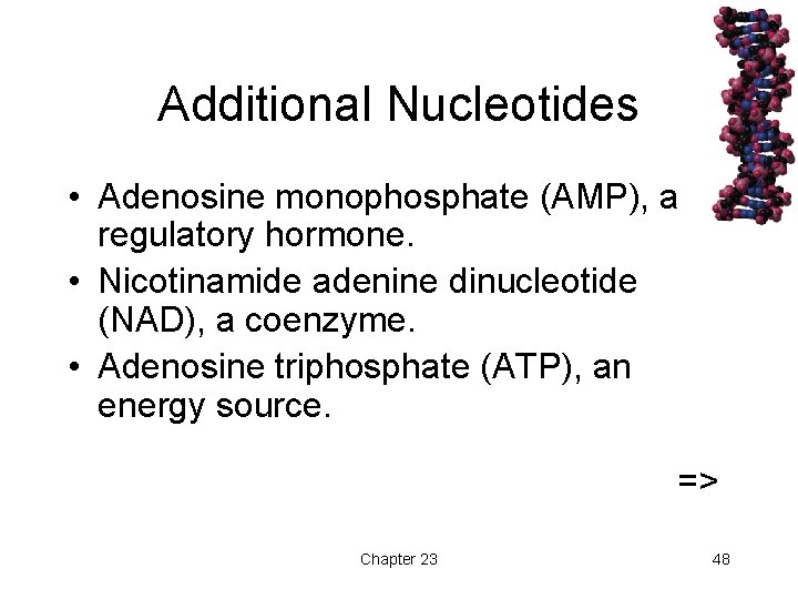 Additional Nucleotides • Adenosine monophosphate (AMP), a regulatory hormone. • Nicotinamide adenine dinucleotide (NAD),