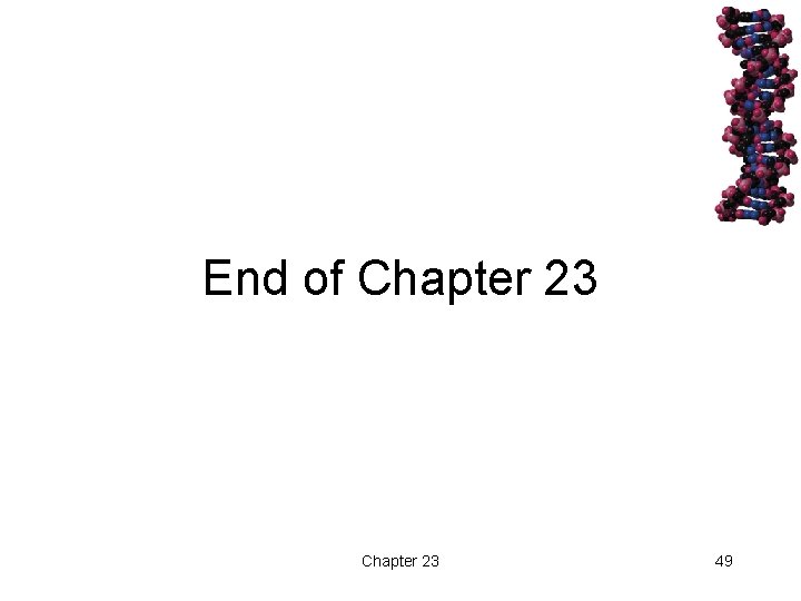 End of Chapter 23 49 