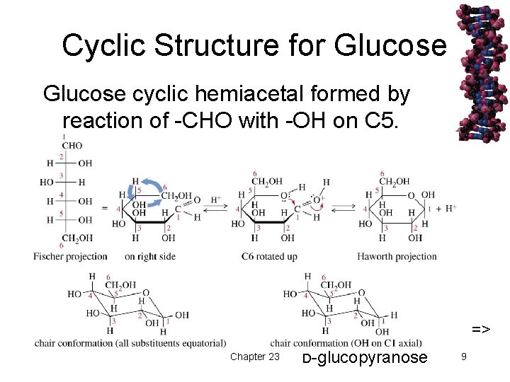 Cyclic Structure for Glucose cyclic hemiacetal formed by reaction of -CHO with -OH on