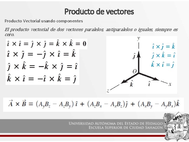 Producto de vectores Producto Vectorial usando componentes El producto vectorial de dos vectores paralelos,